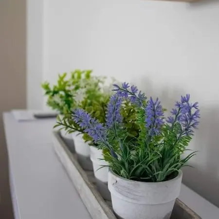 Toni Im Stadtkern Von Bremervörde